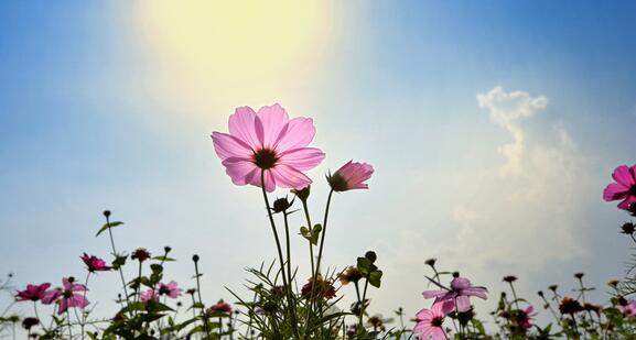 有个渔人有着一流的捕鱼技能，尊称为渔王
